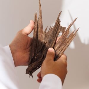 عود طبيعي